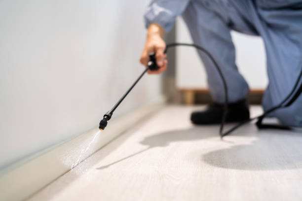 Licensed Pest Control service in Crane, TX - Show Me Pest Control