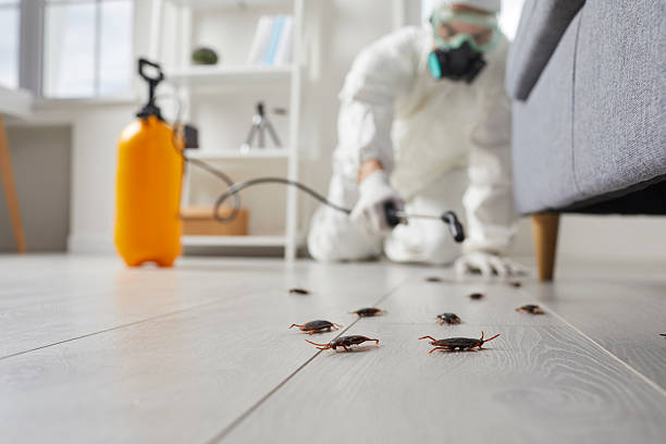 Commercial Kitchen Cockroach Control in Crane
