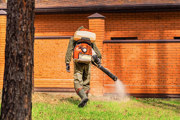 Cockroach Follow-Up and Monitoring in Crane